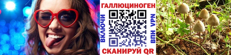 купить наркотики цена  Армавир  Псилоцибиновые грибы мухоморы 